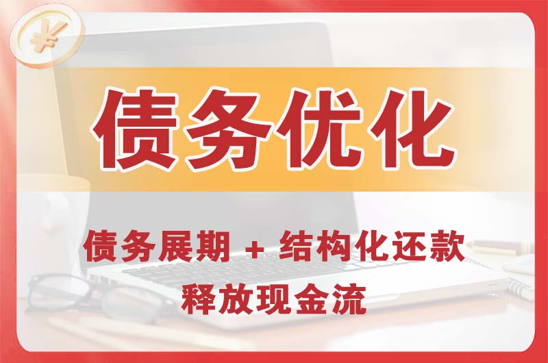 漳平债务优化