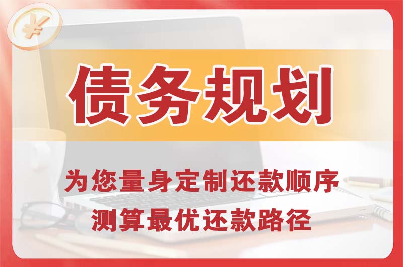 漳平债务规划